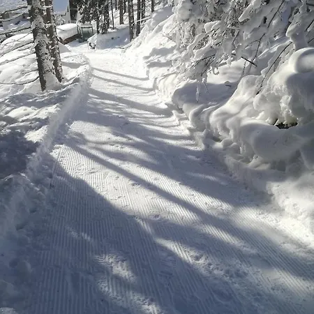 Appartement Haus In Der Kurve