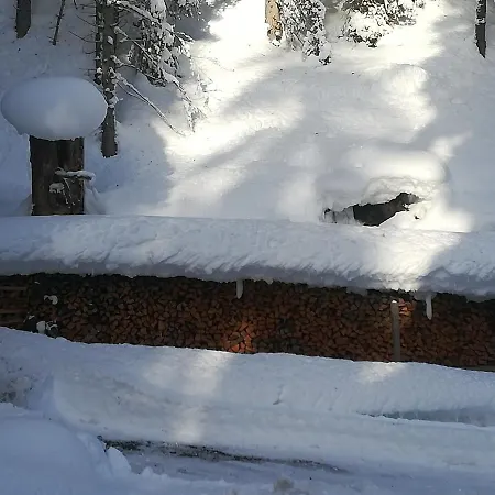 Appartamento Haus In Der Kurve *