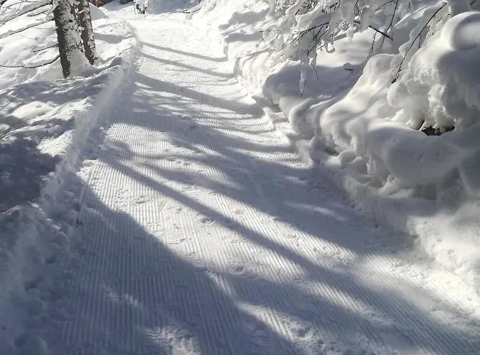 Appartamento Haus In Der Kurve